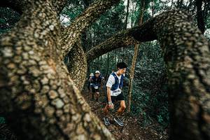 BIB: 
                            <button type="button" onclick="openModal(25393266)" class="btn btn-primary btn-sm float-right btn-popup" data-toggle="modal" data-target=".modal-high-quality">
                        <i class="fas fa-shopping-cart"></i> Add to Cart
                    </button>
                                            <button type="button" onclick="isThisMe(25393266, true)" class="btn btn-success btn-sm float-right btn-popup btn-isme hidden" data-toggle="tooltip" data-placement="bottom" title="นี่คือรูปของคุณใช่ไหม คลิกที่นี่เพื่อเอาเข้าอัลบั้ม">
                        <i class="fas fa-plus"></i> Add to album
                    </button>
                    <button type="button" onclick="isThisMe(25393266, false)" class="btn btn-warning btn-sm float-right btn-popup btn-isnotme hidden">
                        <i class="fas fa-ban"></i> Remove from album
                    </button>